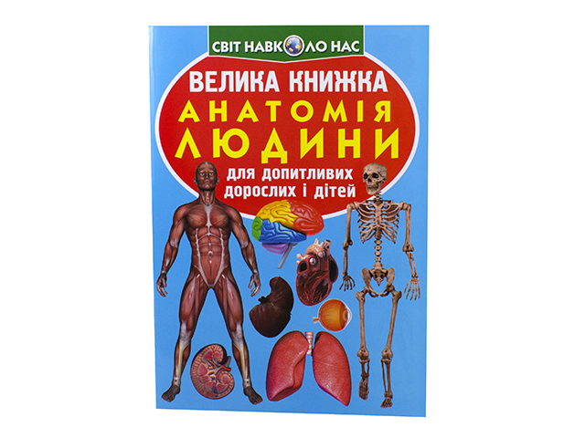 Книжка В4 "Велика книжка. Анатомія людини" №1974 м'яка обкл./Кристал Бук/(30) — фото товару | Канцелярський Сад