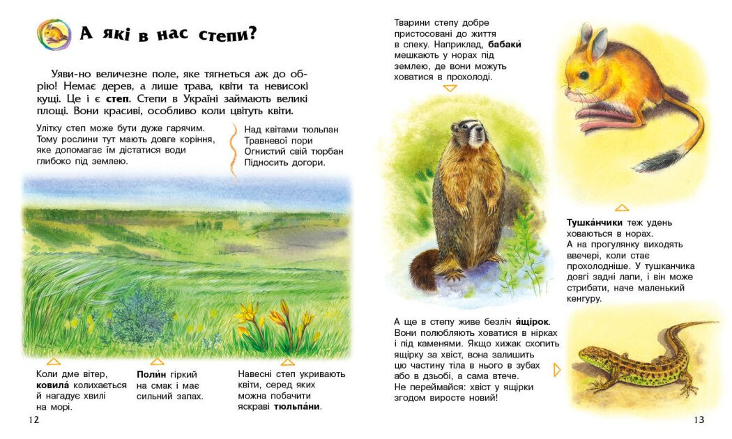 Енциклопедія А4 "Енциклопедія дошкільника (нова) : Україна №С614044У/9948/Ранок/(20) — фото 4