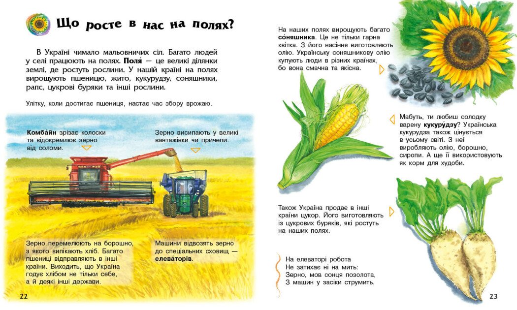 Енциклопедія А4 "Енциклопедія дошкільника (нова) : Україна №С614044У/9948/Ранок/(20) — фото 5
