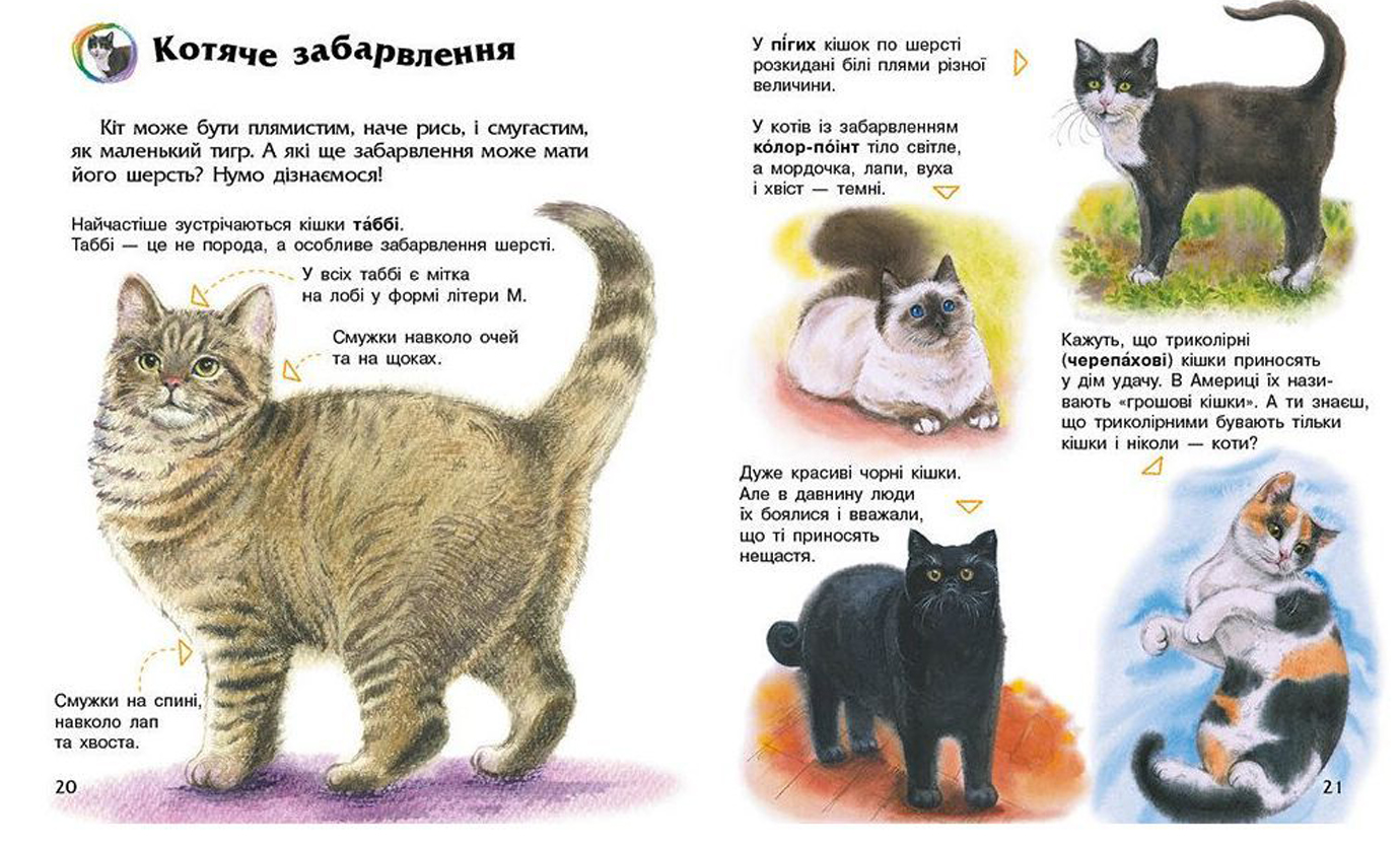 Енциклопедія дошкільника В5 м'як."Коти"(укр.) №2741/Ранок/(20) — фото 5
