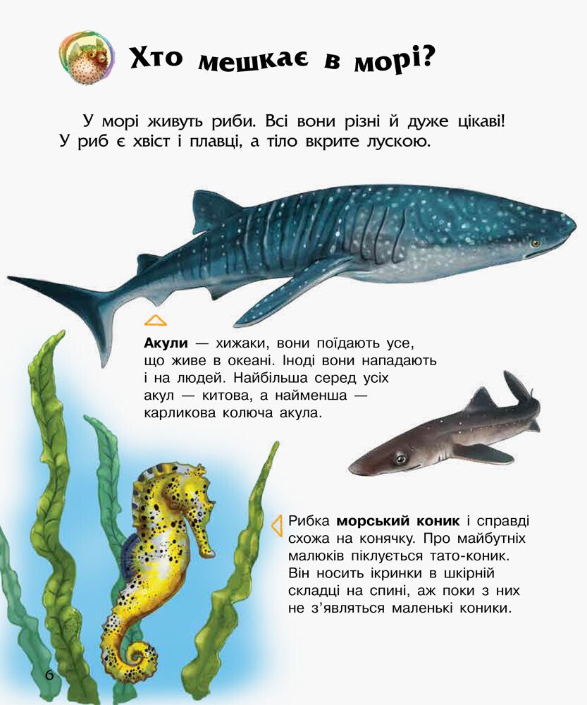 Енциклопедія дошкільника В5 м'як."Океани та моря"(укр.) №3489/Ранок/(20) — фото 7