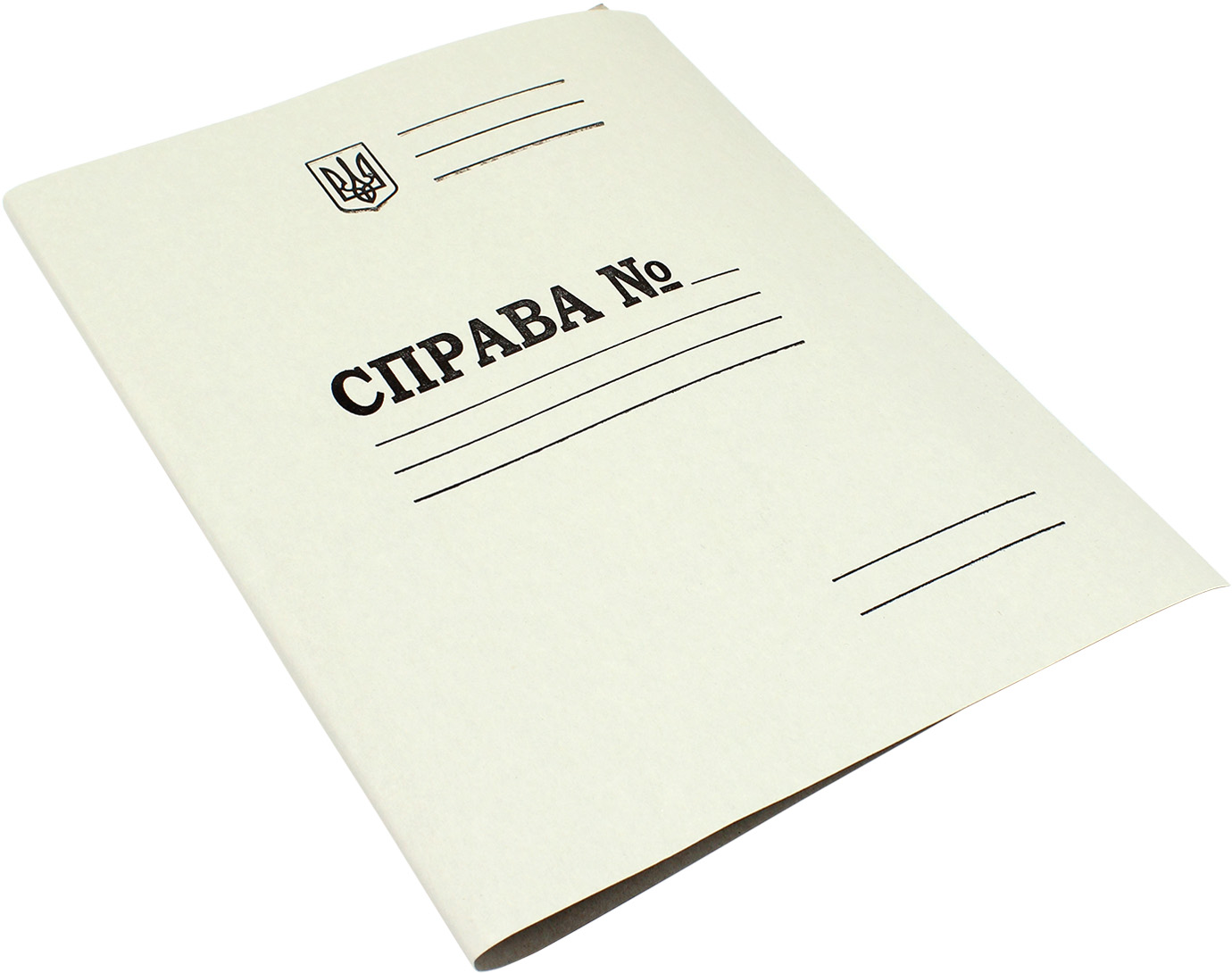 Папка-швидкозш. А4 картон. №DK004 (50) — фото товару | Канцелярський Сад