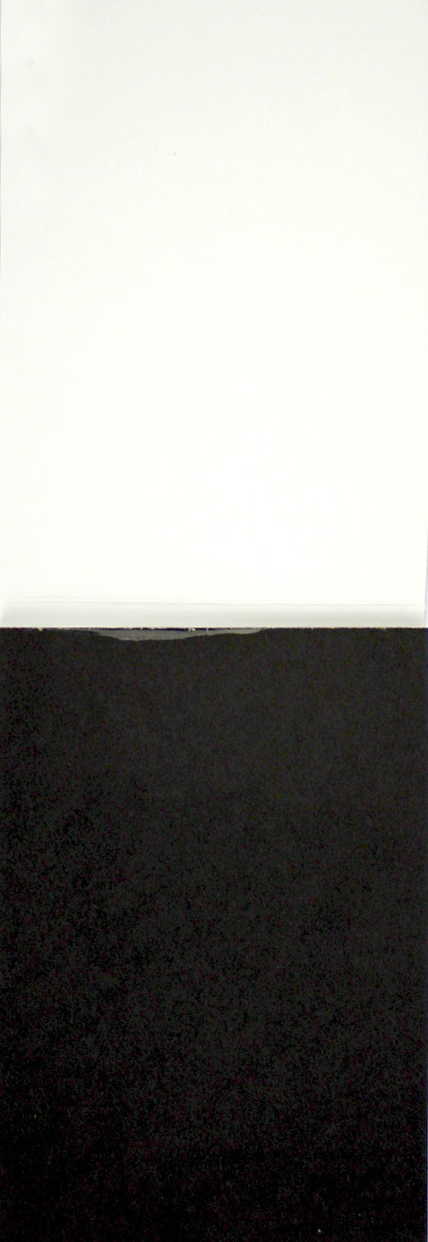 Скетчбук 20арк. А6 б/лін. "Animals sketchbook" four №31714/Profiplan/(20) — фото 5