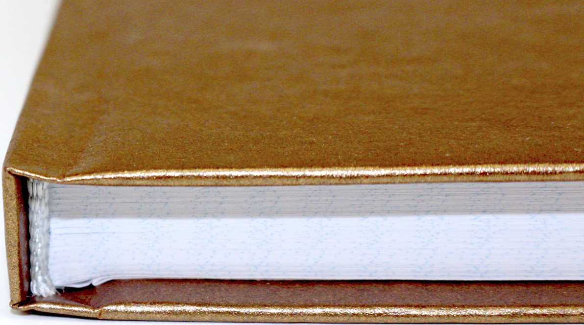Книга-канц. А4 160арк. кліт. тв. обкл. офс./Фолдер/(10) — фото 6