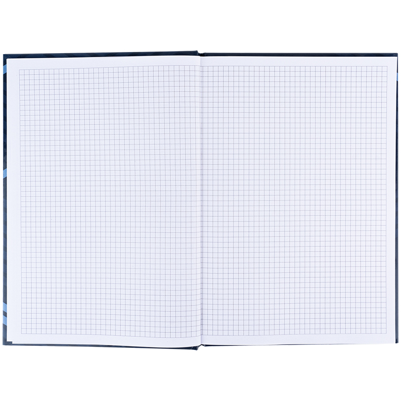 Книга-канц. А4 96арк. кліт. тв. обкл. "Lines" синя №8422-581/Axent/(10) — фото 4