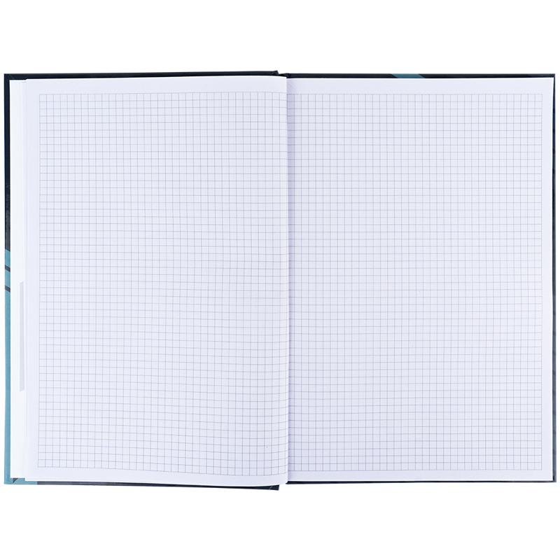 Книга-канц. А4 96арк. кліт. тв. обкл. "Lines" сіра №8422-580/Axent/(10) — фото 4