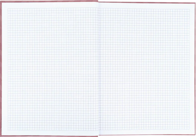 Книга-канц. А4 96арк. кліт. тв. обкл. "Pattern" рожева №8425-4-A/Axent/(10) — фото 4