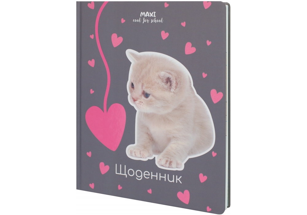 Щоденник шк. В5 "Maxi" №MX29932-41 48арк. тв. обкл.(36) — купити | Канцелярський Сад
