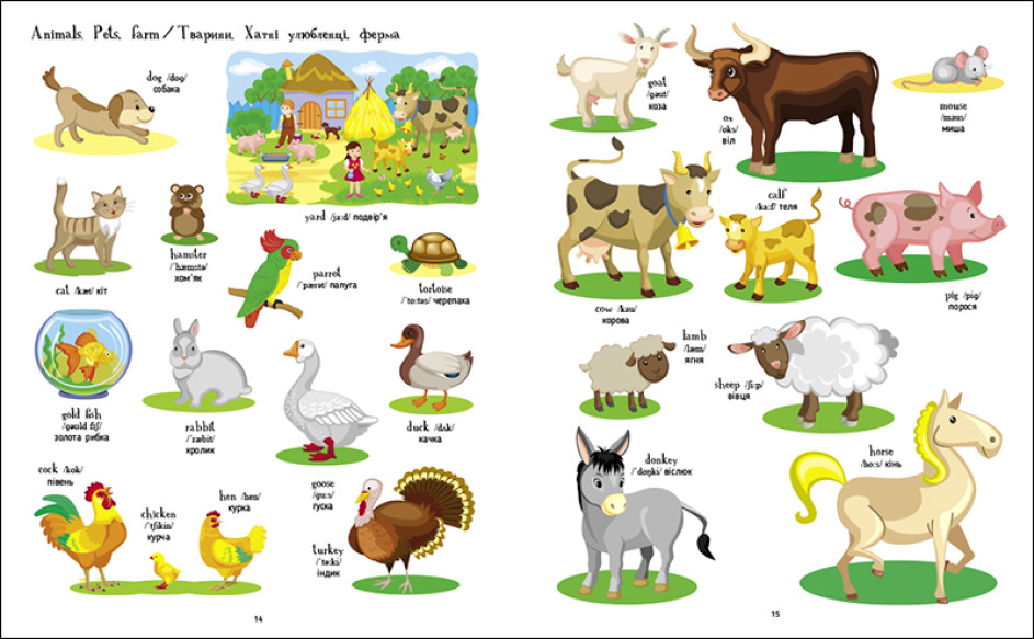 Книжка А4 "English for kids : Writing words. English for kids" (укр.)/Ранок/(20) — фото 4