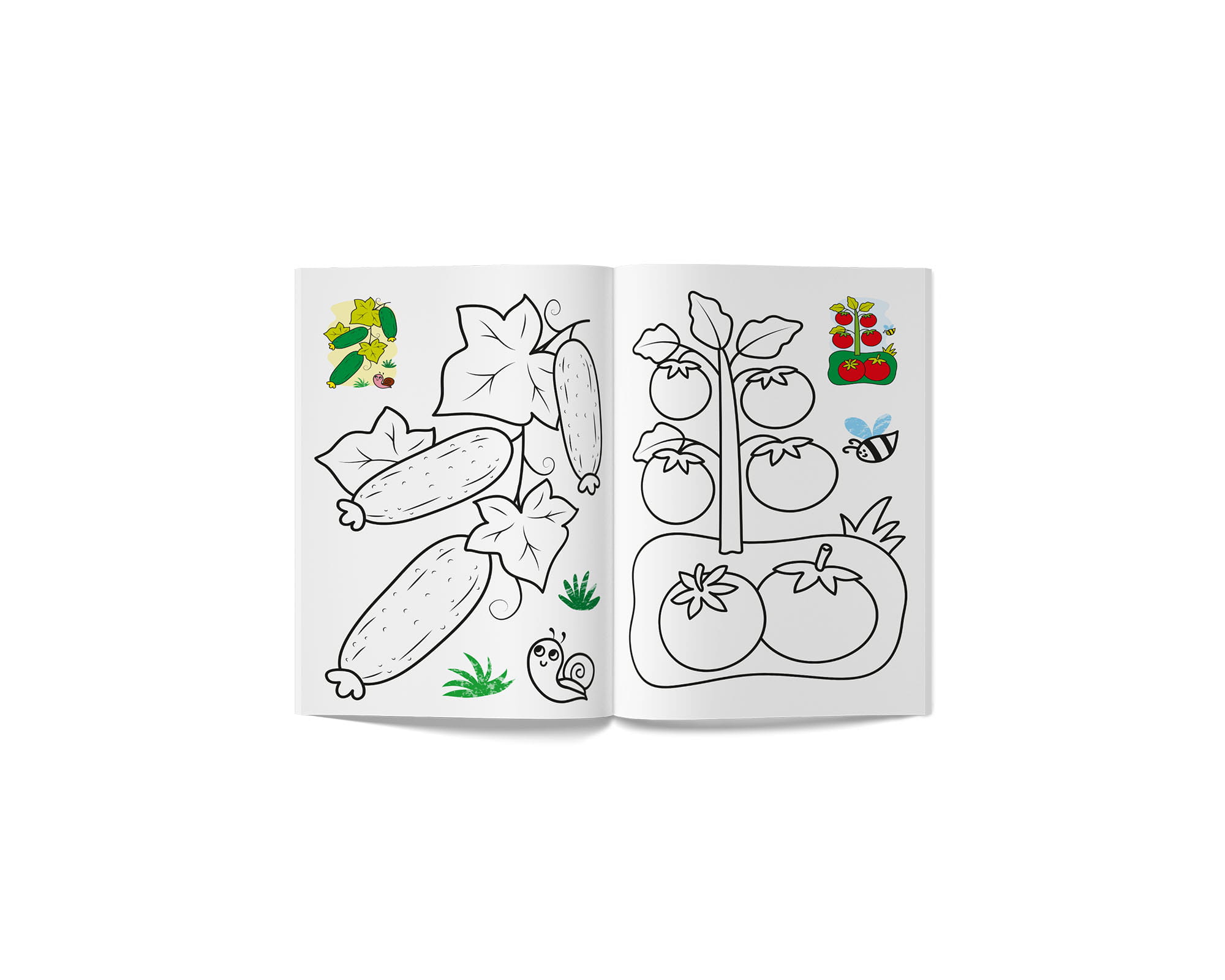 Книга А5 "Кольорованка. Овочі" №6291/Кристал Бук/(50) — фото 4