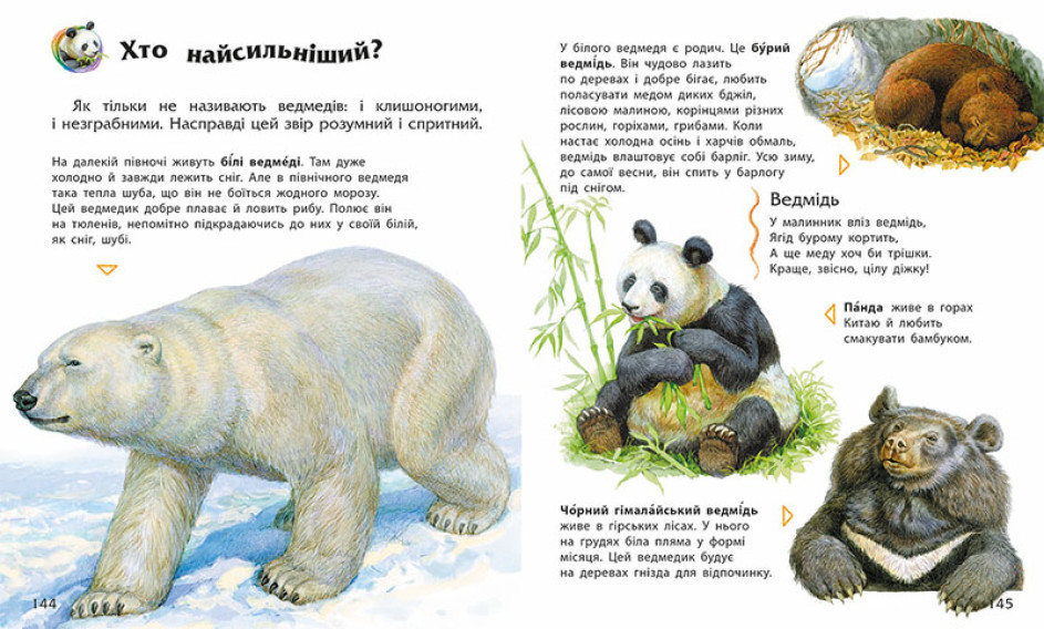 Книжка А5 "Несерійний : Енциклопедія дошкільника "/Ранок/ — фото 3