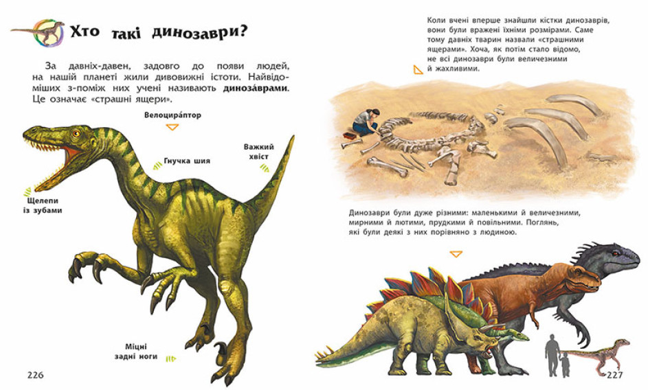 Книжка А5 "Несерійний : Енциклопедія дошкільника "/Ранок/ — фото 4