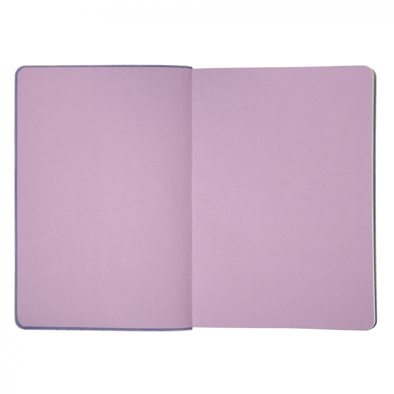 Щоден. А5 "Leo Planner" недат. 160арк. Prima бузковий м'яка обкл. №252701(10)(20) — фото 4
