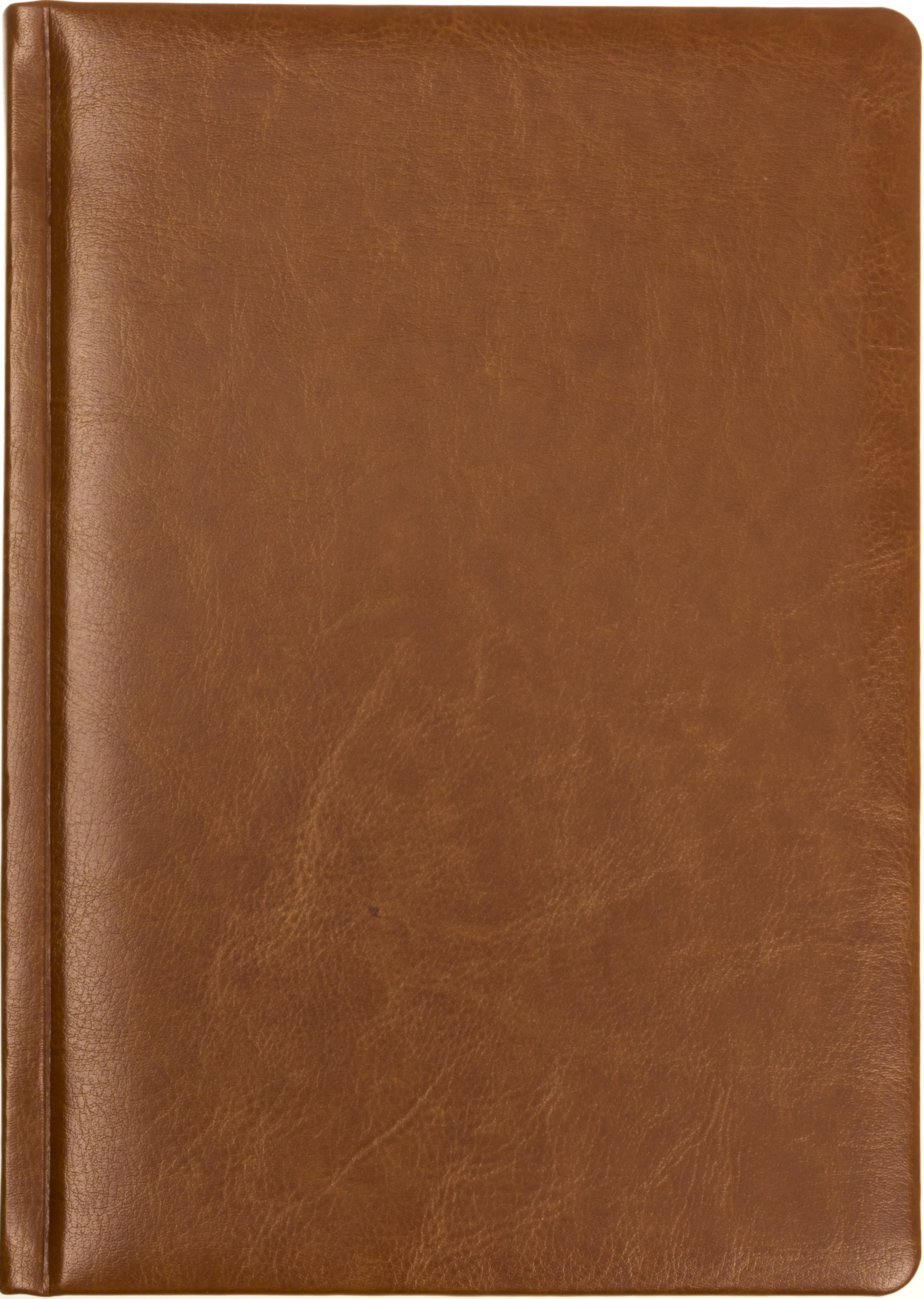Щоден. А5 "Economix" недат. лін. Nebraska коричневий №22029-07(20) — купити | Канцелярський Сад