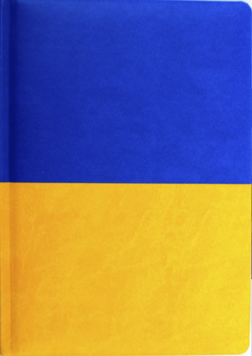 Щоден. А5 "Economix" недат. Vivela жовто-блакитний №E22062-98(20) — фото 4