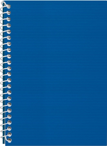 Блокнот пруж. бок. А5 48арк. кліт. пласт. обкл.,синій №E20302-02/Economix/(1)(80) — фото 3