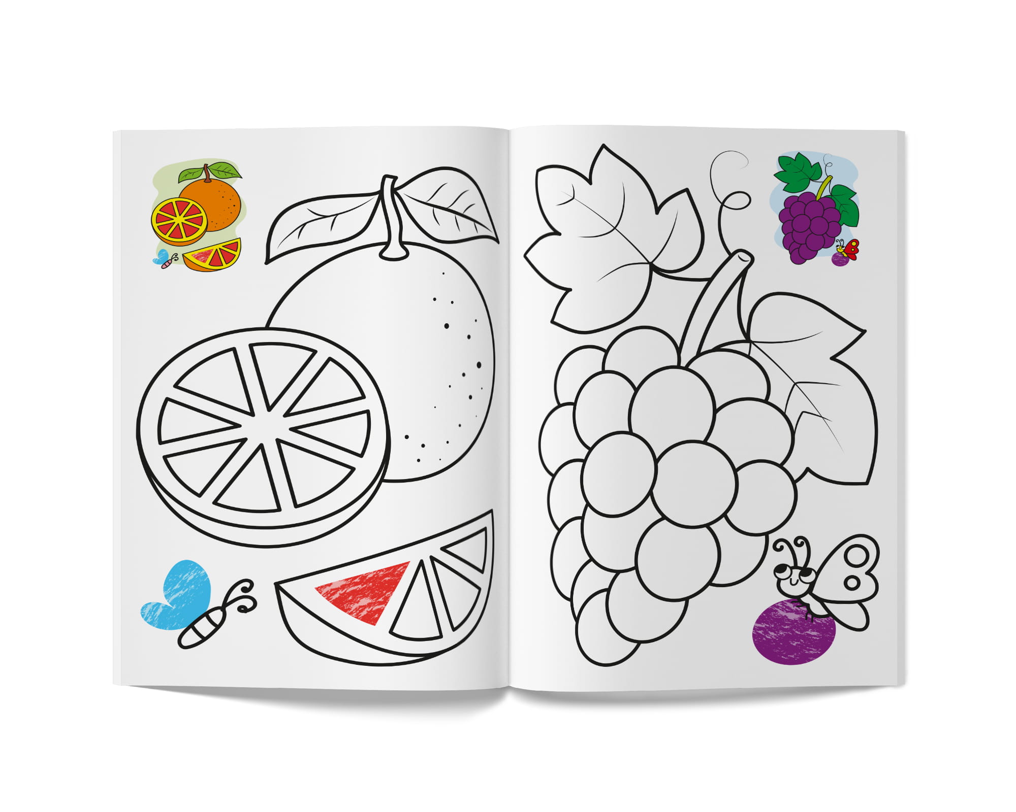 Книга А5 "Кольорованка. Фрукти" №6246/Кристал Бук/(50) — фото 6