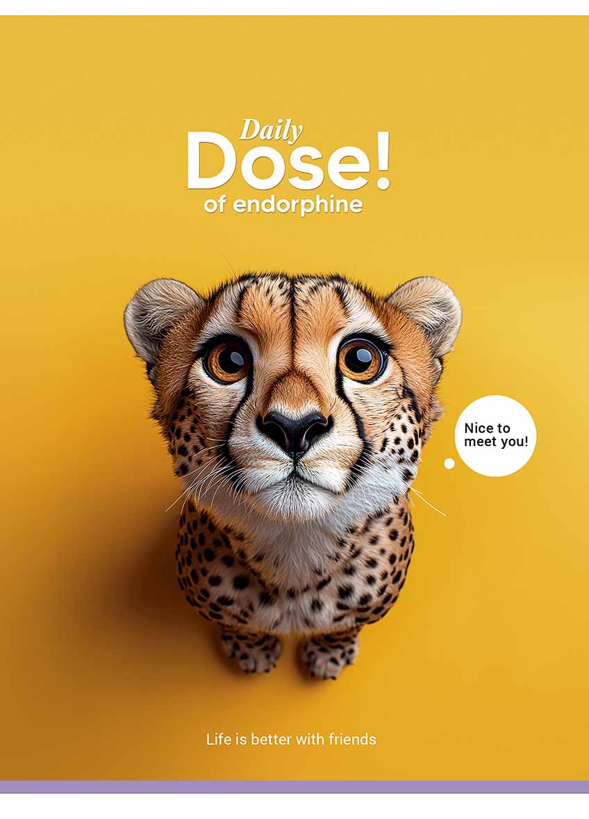 Блокнот А5 80арк. кліт. карт. "Student" мат. №A5-080-5253K/Школярик/(8)(80) — купити | Канцелярський Сад