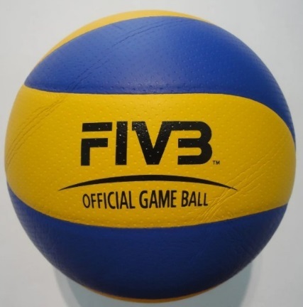 М'яч волейбол. "Mikasa MVA-200" — купити | Канцелярський Сад